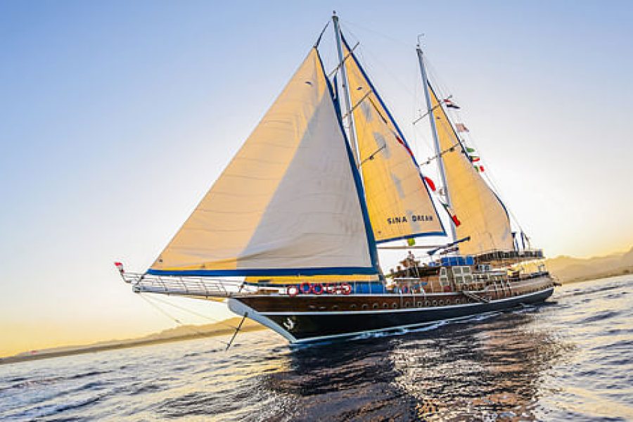 Red Sea Rendezvous: Enchanting Dinner Cruise with Oriental Show & Seafood Feast “Sinai Dream sailboat”