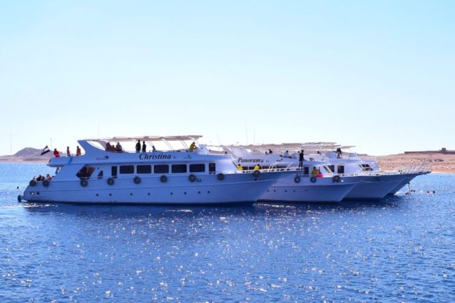 Snorkeling Trip to Tiran Island from Sharm El Sheikh