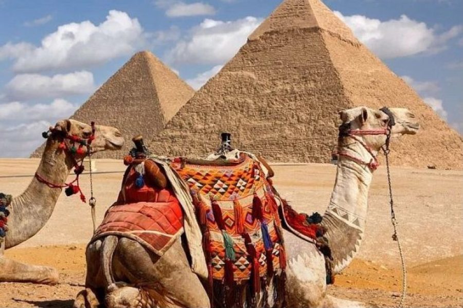 journey to Pyramids & Cairo Museum from Sharm El-Sheikh by Bus