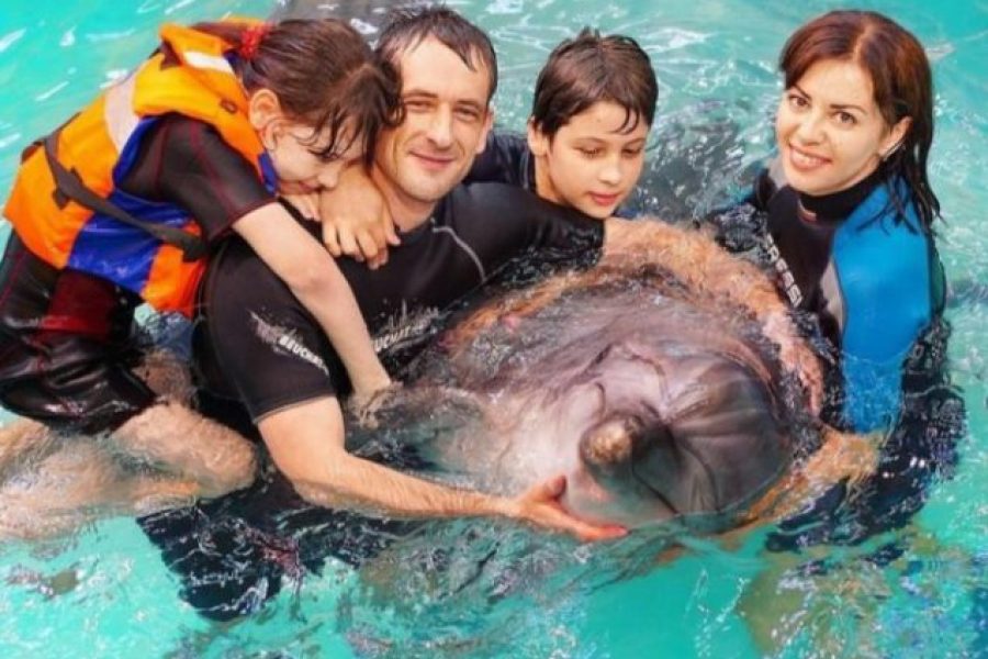 Swimming with Dolphins in Sharm el Sheikh 15 min.